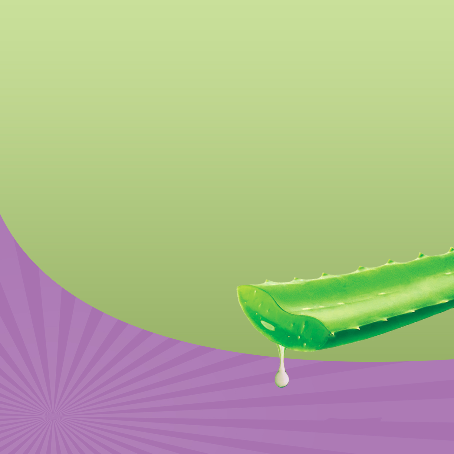 Super Aloe Vera - Super Babosão